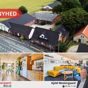 opslagsbillede