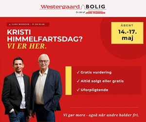 opslagsbillede