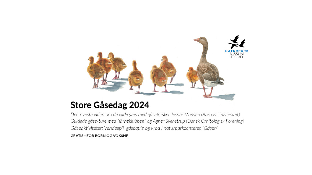 Bliv inspireret til sjove arrangementer i Bøvlingbjerg