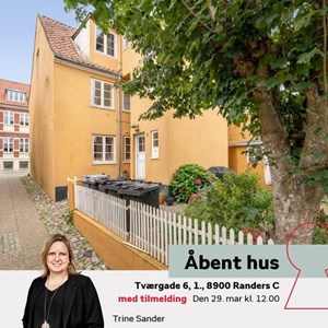Opslagsbillede