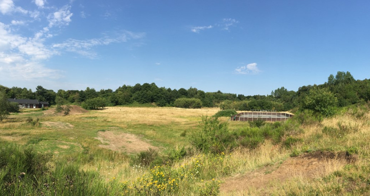 Viborg Kommune modtager støtte til flere projekter i Hans Eriks Lund