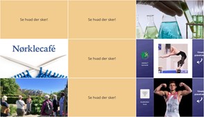 Ugen i Åbyhøj: Fra Genetikforedrag til Litteraturvandring langs Brabrand Sø