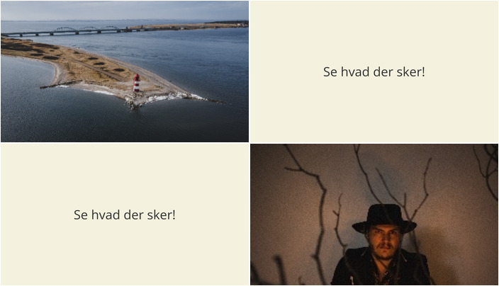 Oplevelser i Thyholm: Vintervandring og Musikalsk Aften