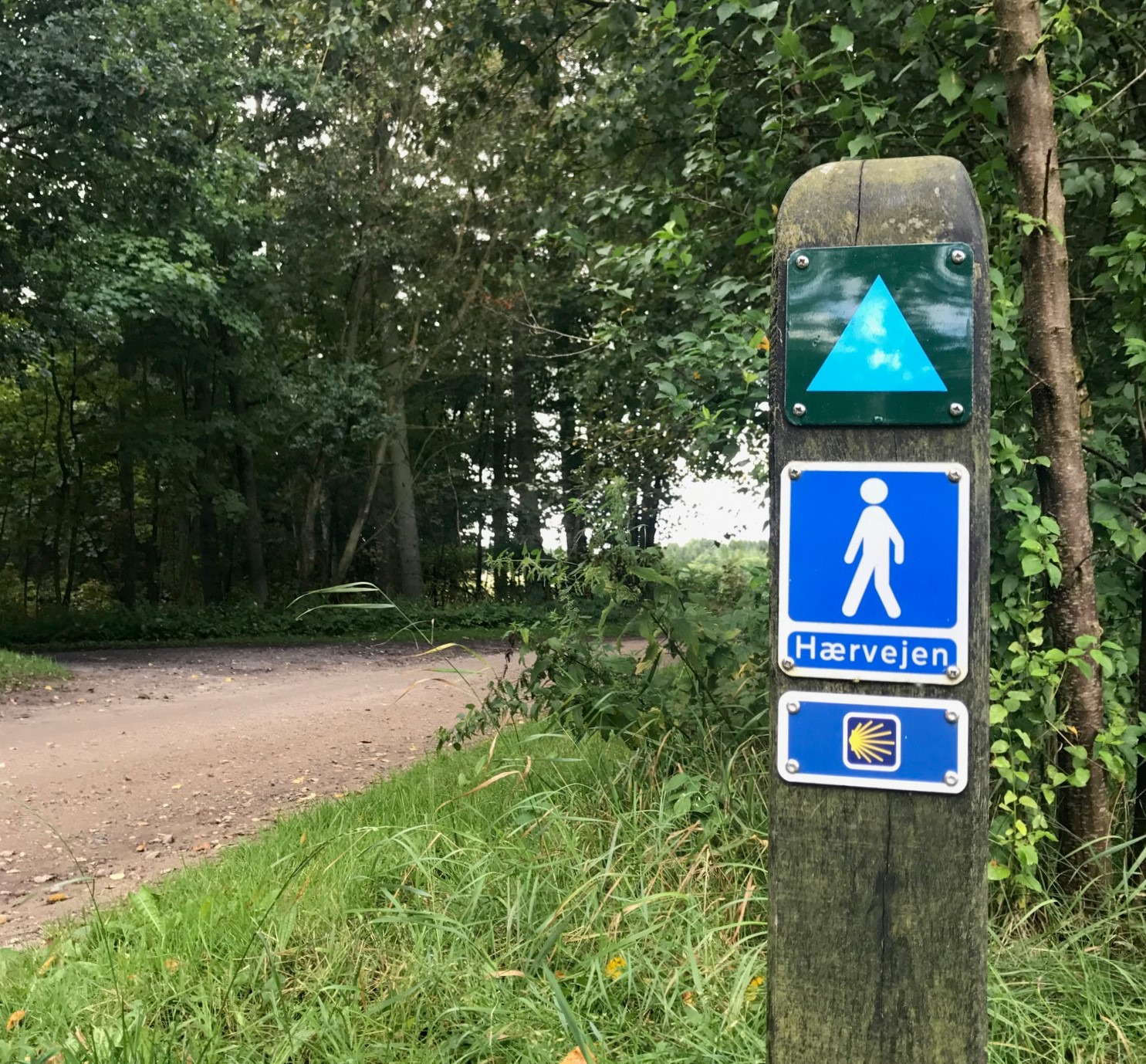 Vandreglæde og kreativitet på Hovedbiblioteket i Viborg
