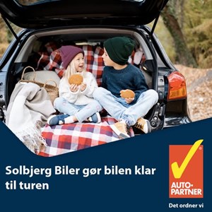 opslagsbillede