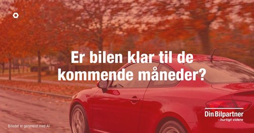Opslagsbillede