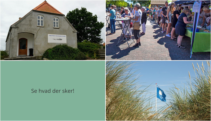Oplev Arkæologi, Kagebord og Strandudforskning i Nordborg den Kommende Uge