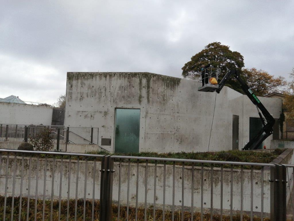 Hillerøds fliser funkler: 2020 blev rekordår for renseeksperter