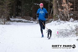 Nytårs-canicrossløb i True Skov: Start 2025 med en løbetur for hund og ejer