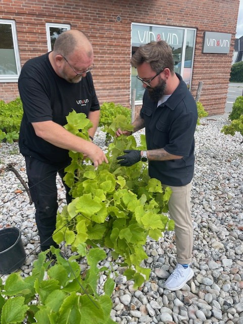 Vin & Vin Aalborg deler sommeropdatering fra vinmarken på Vestre Alle