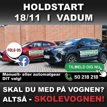 Opslagsbillede
