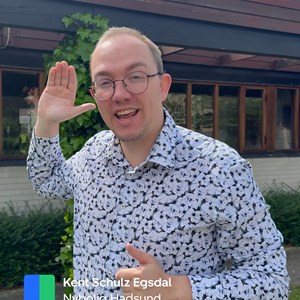 Opslagsbillede