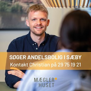 opslagsbillede