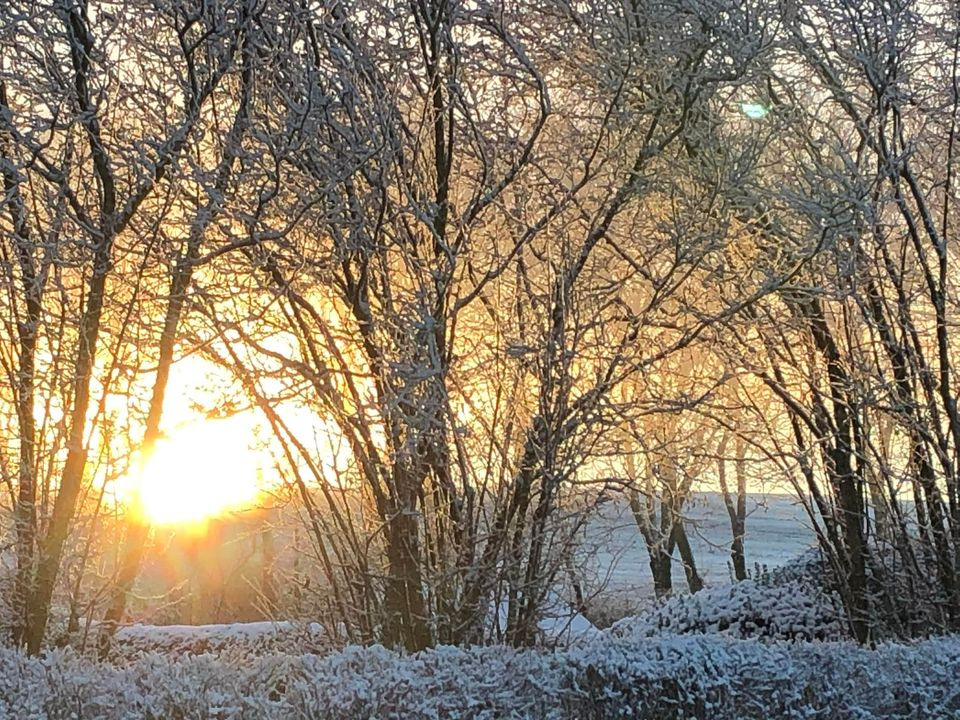 Nyt på opslagstavlen i Silkeborg