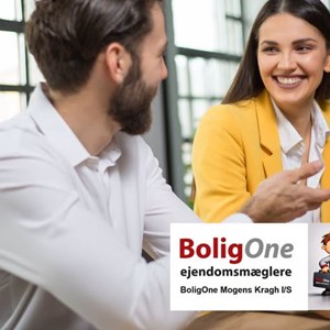 Opslagsbillede