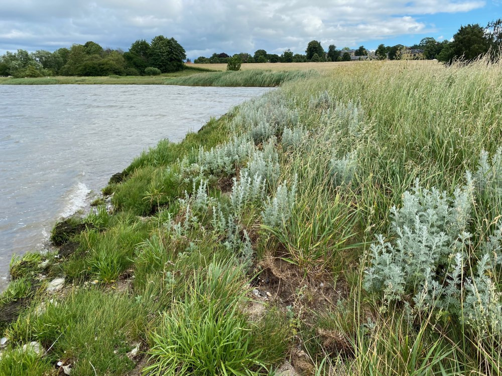 Oplev Sankt Hans Hospitals fascinerende historie i Roskilde