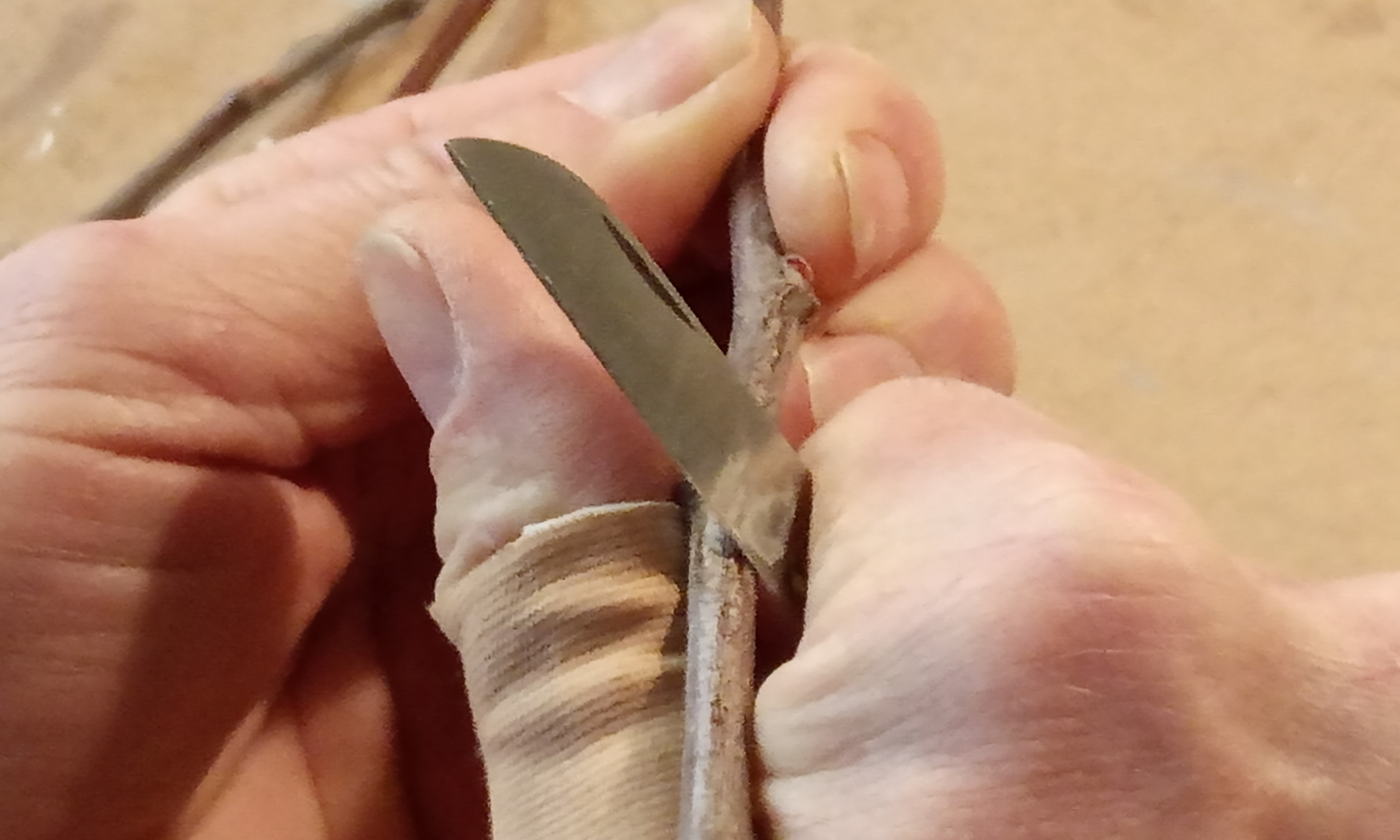 Oplev æblepodning og historisk byvandring i Slagelse