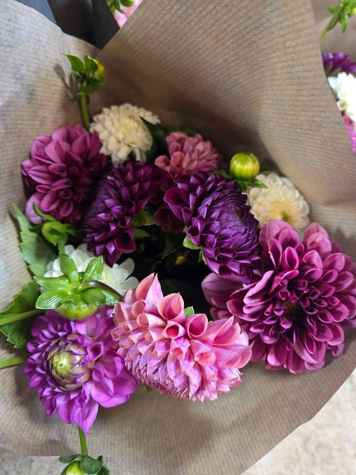 Flore Vida skærer friske dahlia næsten hver dag