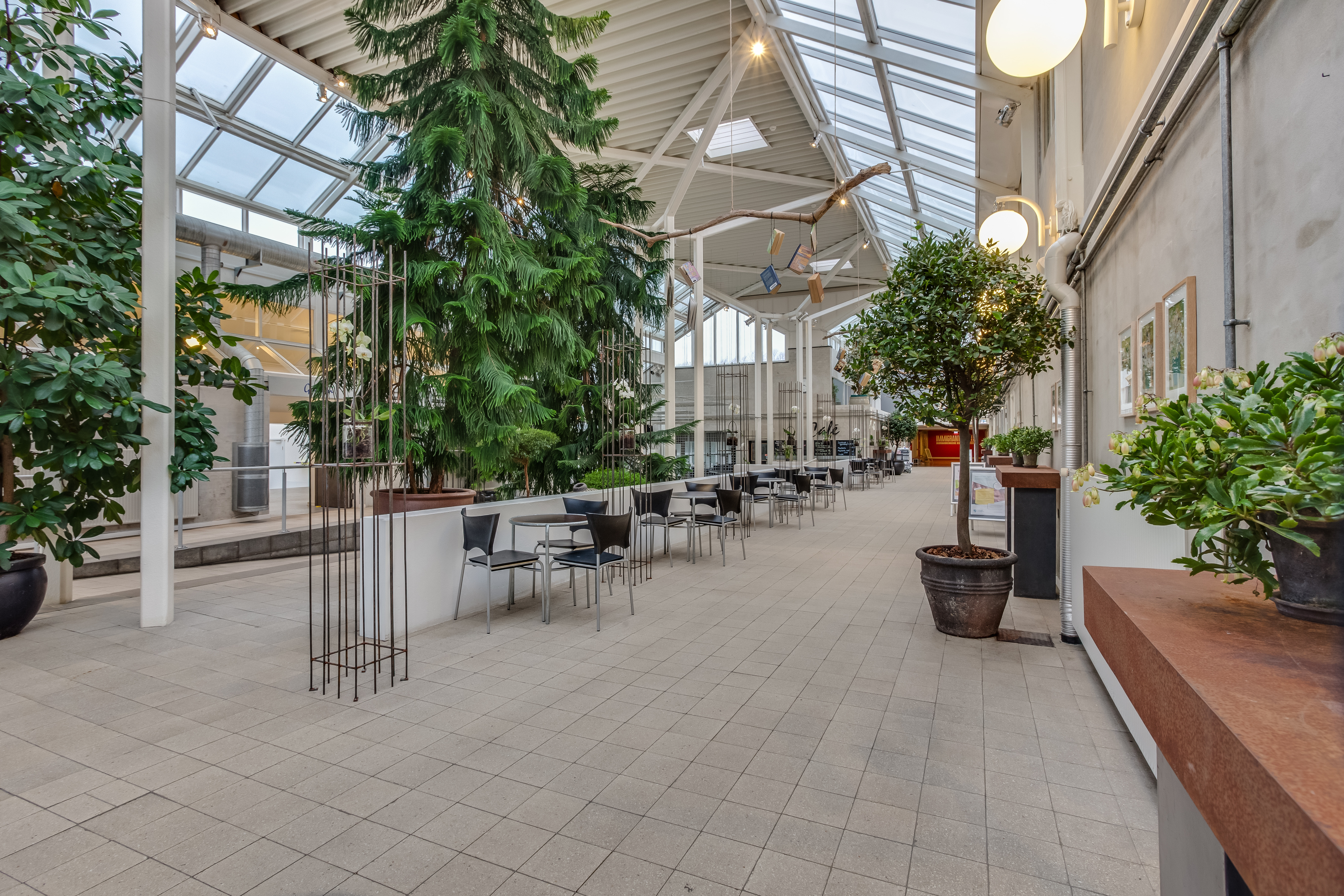 Foredrag: Spis dig fri for Type 2-diabetes med Jane Kudsk