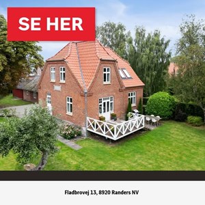 Opslagsbillede