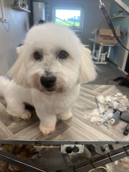 Se dagens updates fra Sæby her