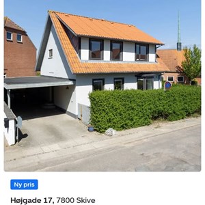 Opslagsbillede