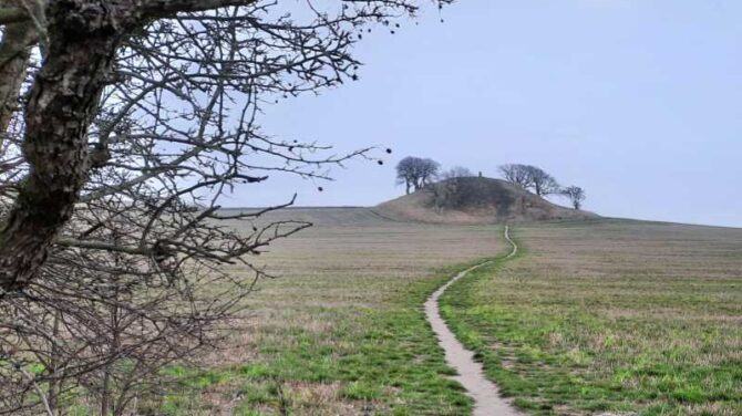 Tag på vandretur op og ned ad Vejrhøjbuen