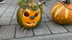 Årlig græskarudskæringskonkurrence på Fanø