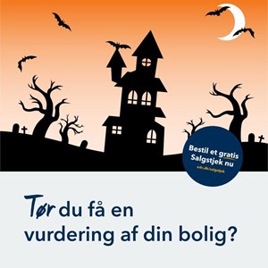 Opslagsbillede
