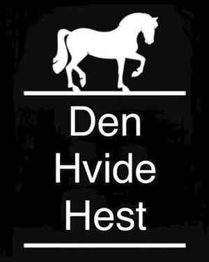opslagsbillede