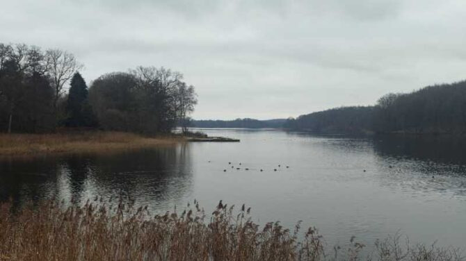 Oplev Sorøs naturskønne omgivelser med Dansk Vandrelaug