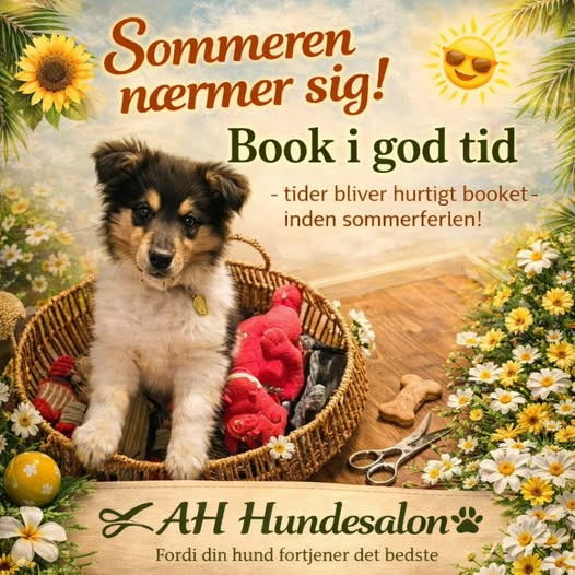 AH Hundesalon opfordrer til tidlig booking for sommerklar hunde
