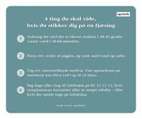 Sådan beskytter du dig mod fjæsingstik – råd fra Herning Løve Apotek