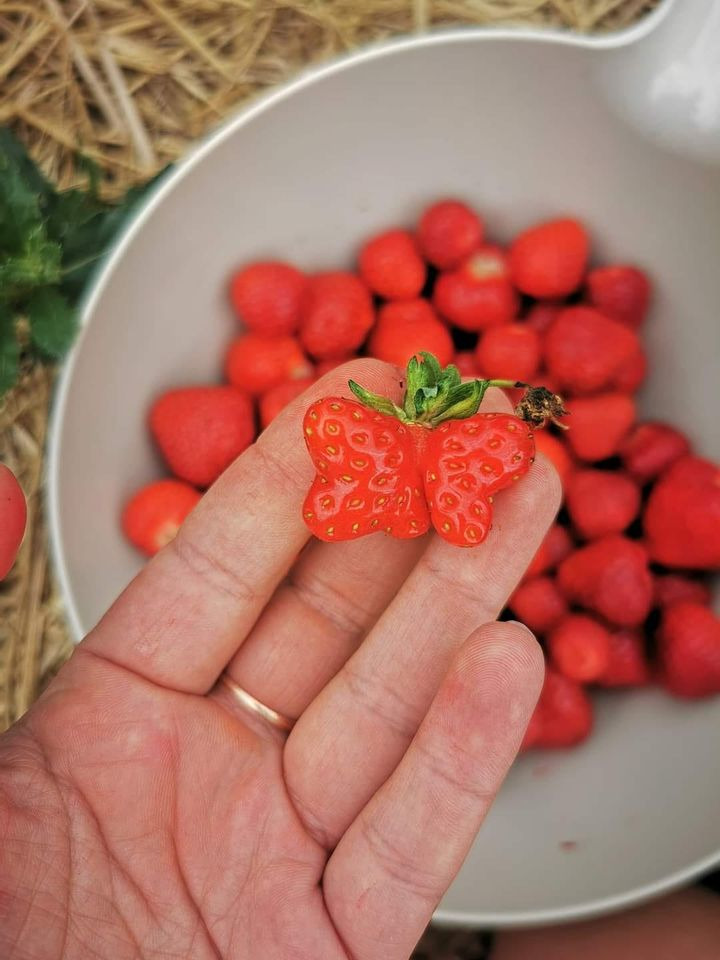En finger på pulsen i Sæby
