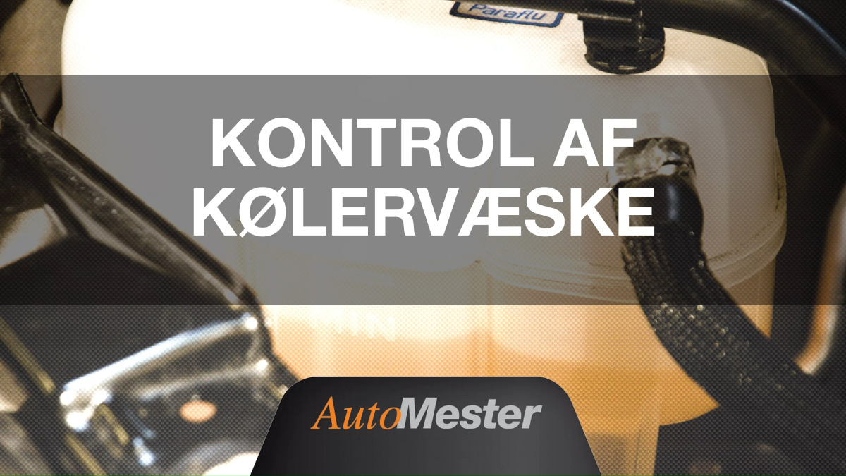 En finger på pulsen i Hammel