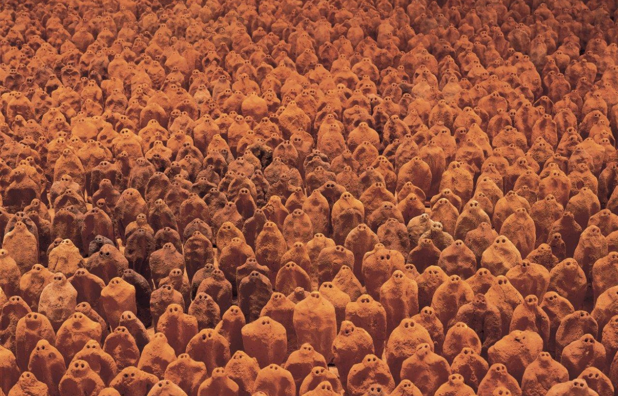 Oplev Socle du Monde Biennale 2021 