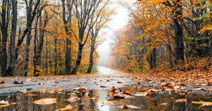 Herning Løve Apotek: Forbered dig på efteråret med de rette vitaminer og mineraler