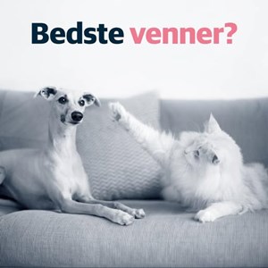Opslagsbillede