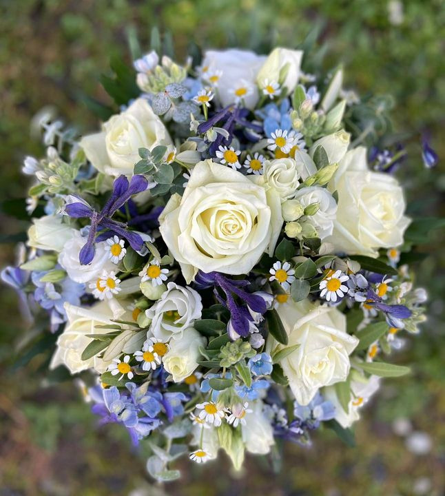 Hold dig ajour med dagens opdateringer fra Roslev