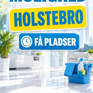 Opslagsbillede