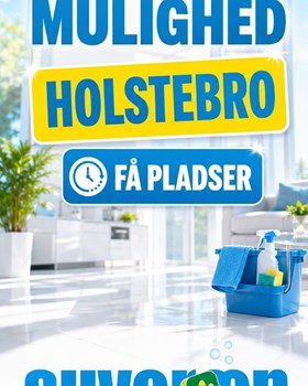 Opslagsbillede