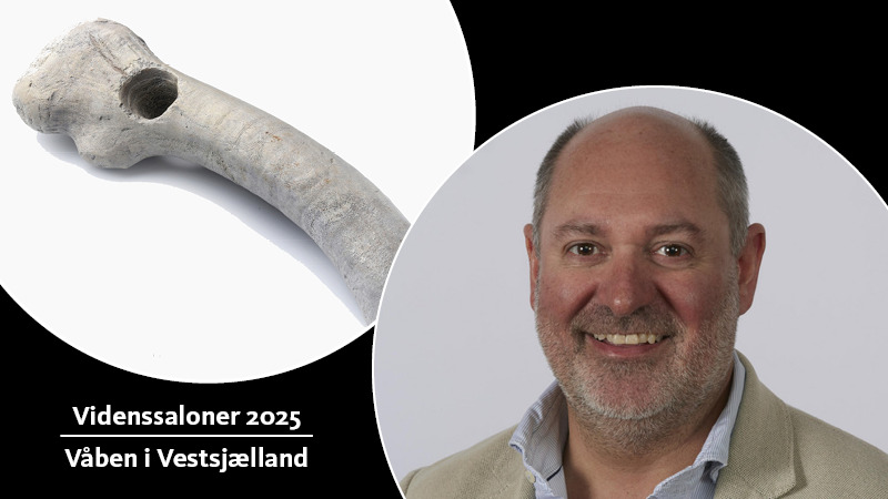 Videnssalon om hjortetaksøkse på Kalundborg Museum