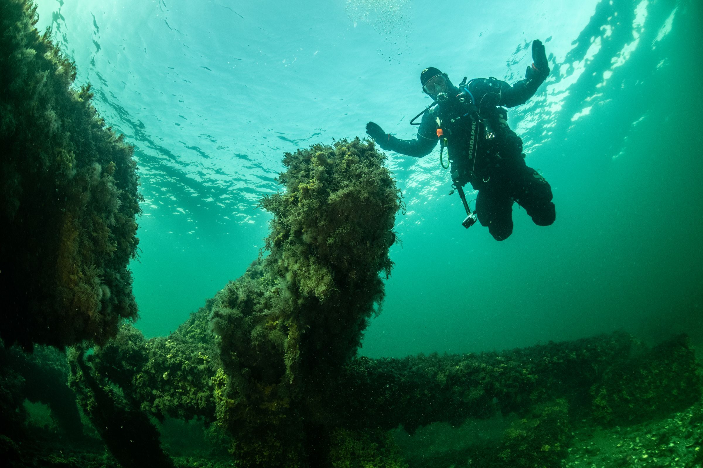 Poseidon-Als inviterer med under havets overflade