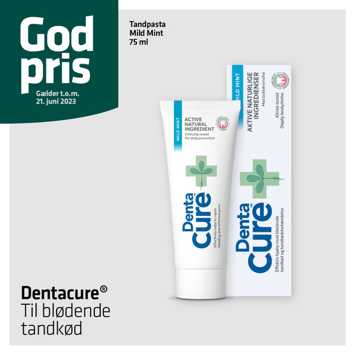 Opslagstavlen: Nyeste opdateringer fra Vejle