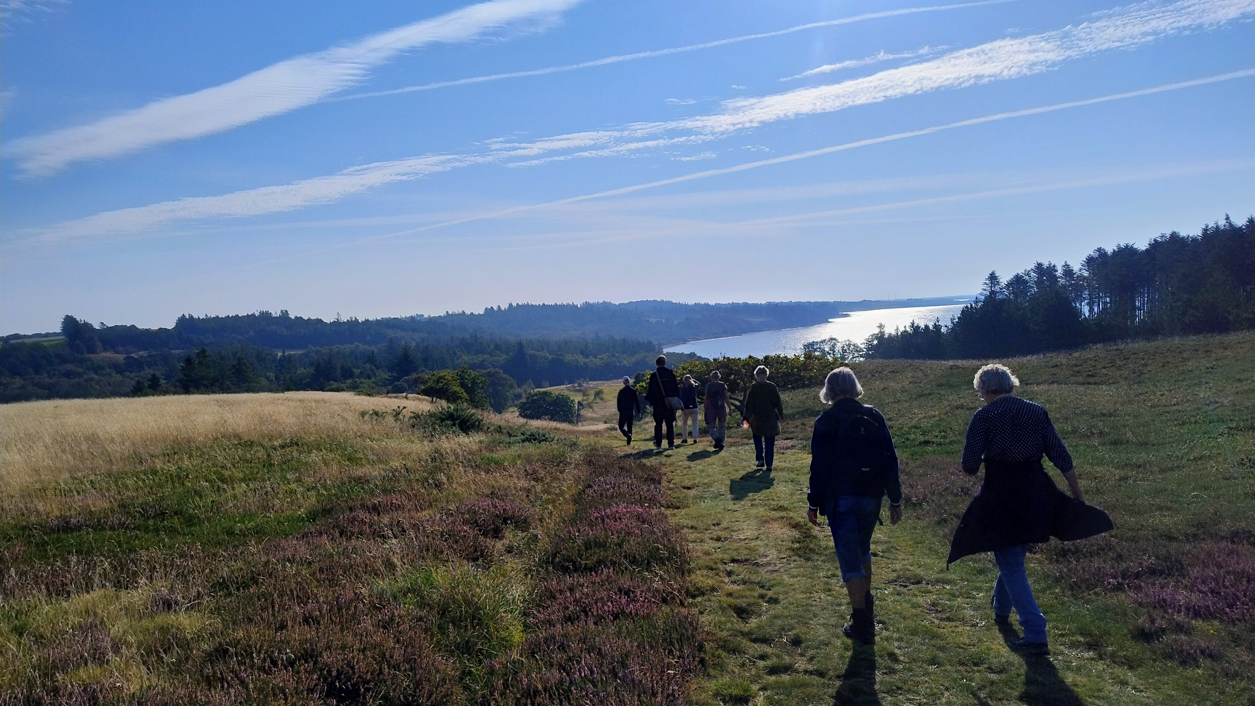 Vandrende fælleslæsning i Eshøj Plantage