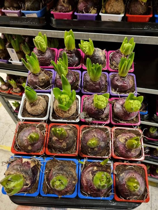 Hold trit med lokalområdet: Nyt fra Odder