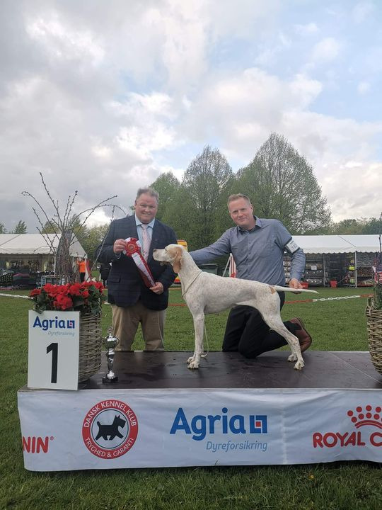 Se dagens updates fra Sæby her