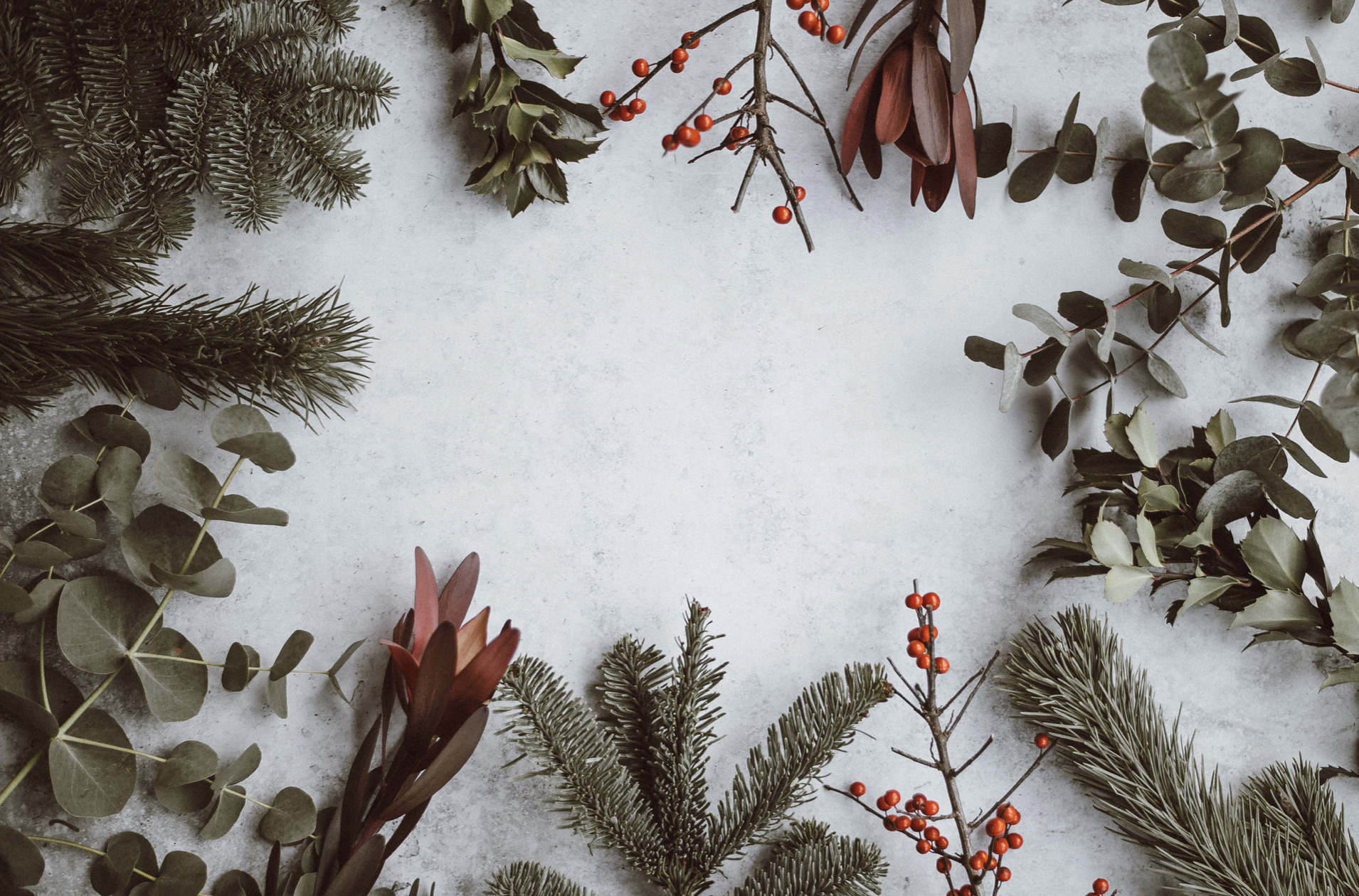 Find nissen i skoven – et hyggeligt familiearrangement