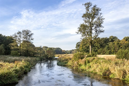 Top 6 over dyreste boliger til salg i Holsted. Priser op til 2.950.000 kr