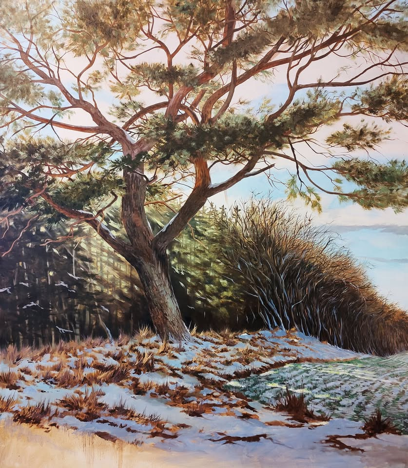 Kunstudstilling med Rasmus Jensen åbner i Pavillonen